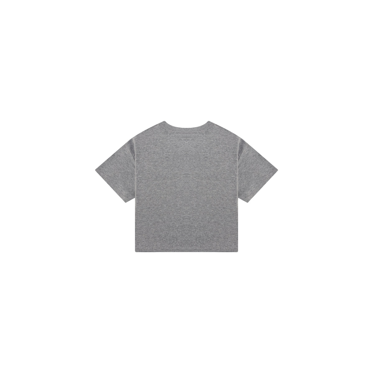 Crop Grey Purple Tee – “Be Inglewood”